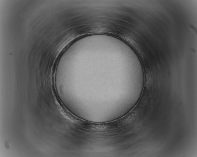 X0000103131039200809121727