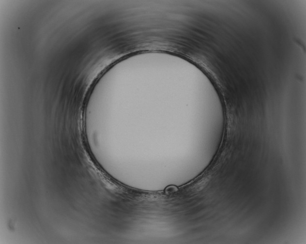 X0000103131040200809121727