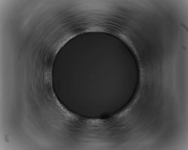 X0000103131041200809121727