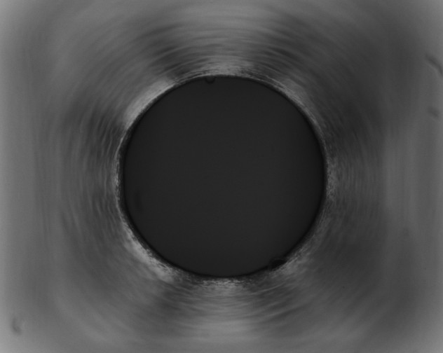X0000103131042200809121727