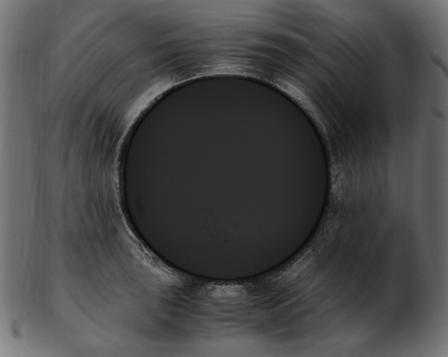 X0000103131043200809121727