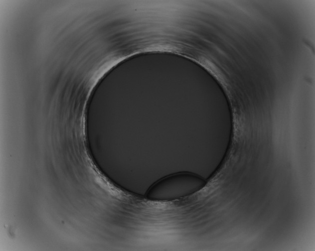 X0000103131044200809121727