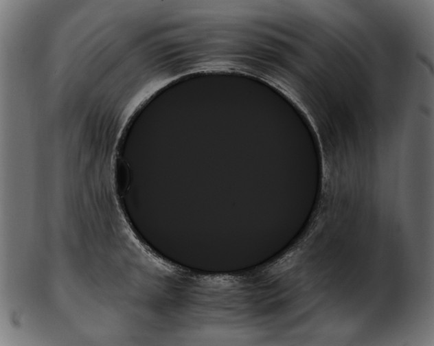 X0000103131045200809121727