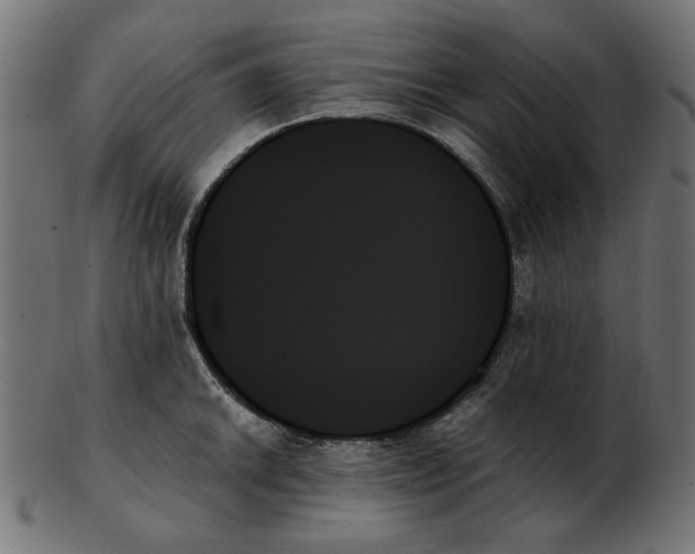 X0000103131046200809121727