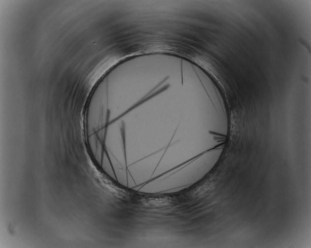 X0000103131047200809121727