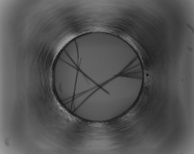 X0000103131048200809121727