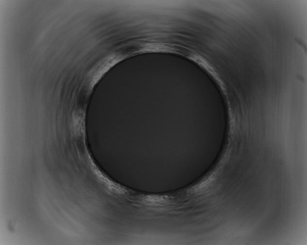 X0000103131049200809121727