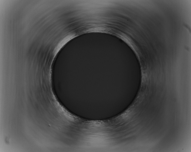 X0000103131050200809121727