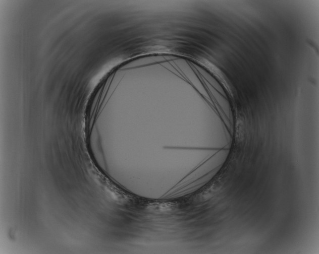 X0000103131051200809121727