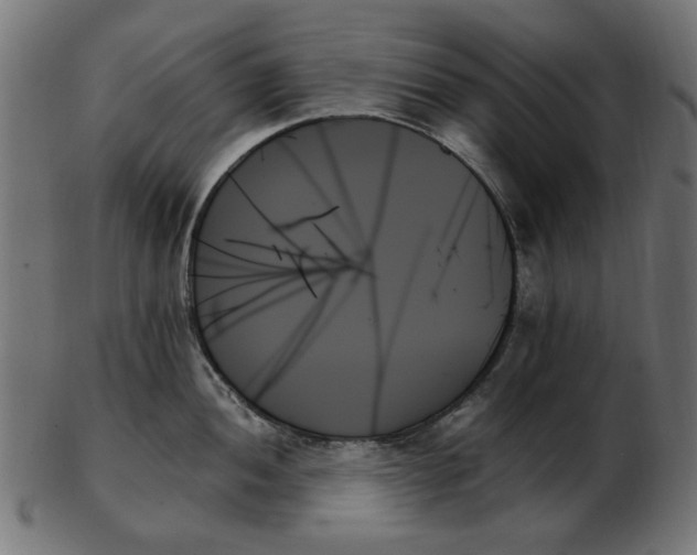 X0000103131052200809121727