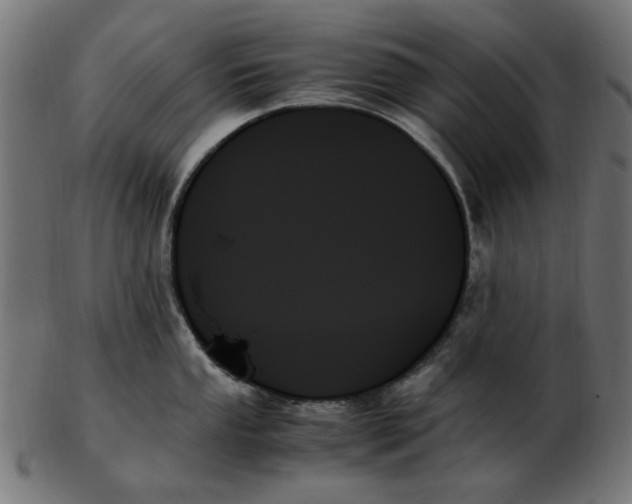 X0000103131053200809121727