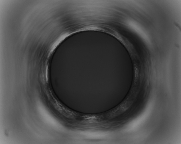 X0000103131054200809121727