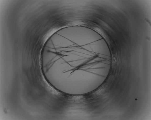 X0000103131055200809121727