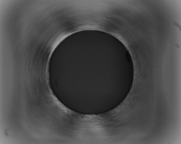 X0000103131056200809121727