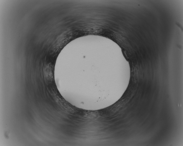X0000103131058200809121726