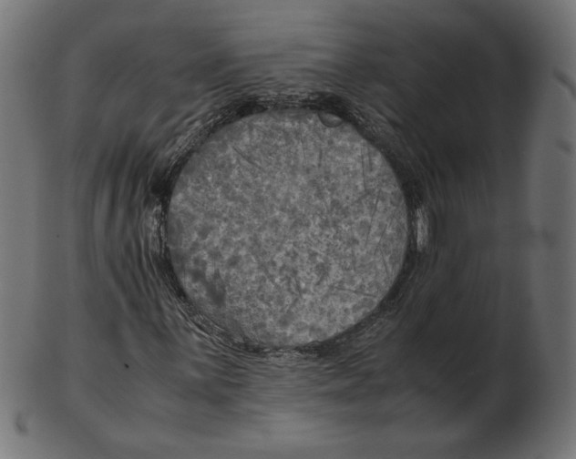 X0000103131059200809121726