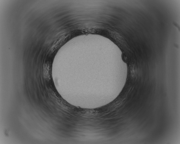 X0000103131060200809121726