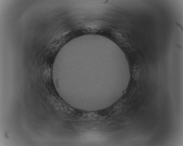 X0000103131061200809121726