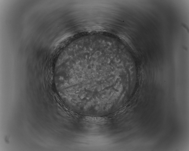 X0000103131063200809121726