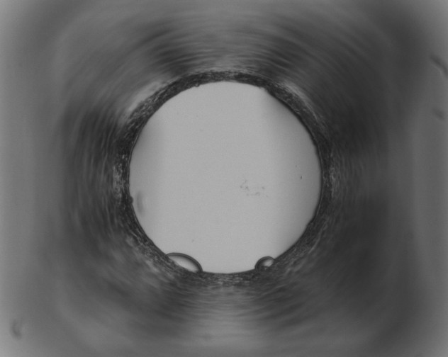 X0000103131064200809121726
