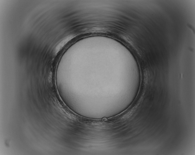 X0000103131066200809121726