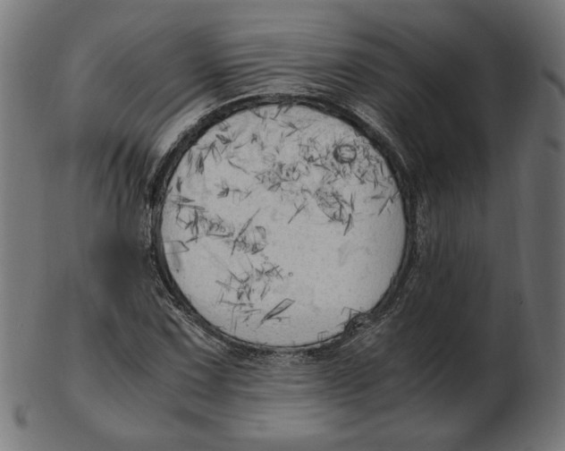X0000103131067200809121726