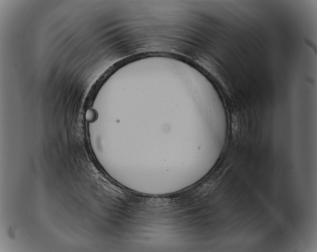 X0000103131068200809121726