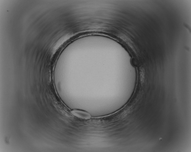 X0000103131069200809121726