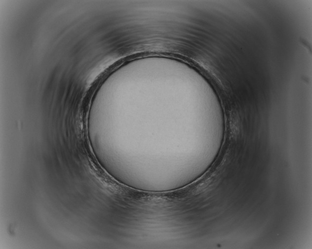 X0000103131070200809121726