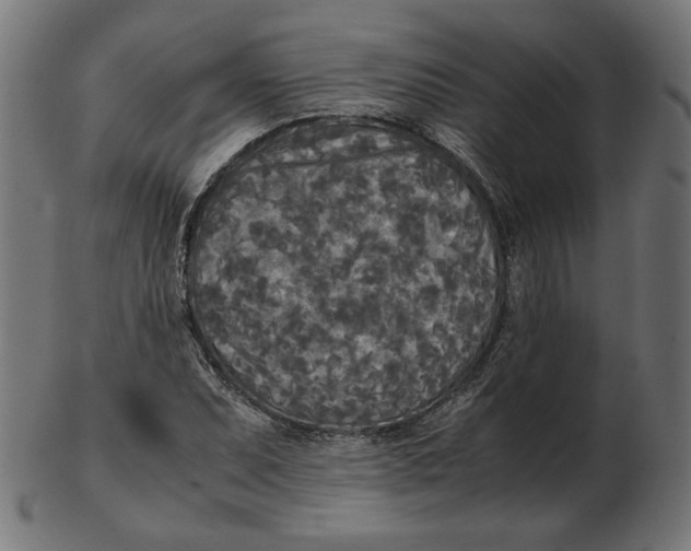 X0000103131071200809121726