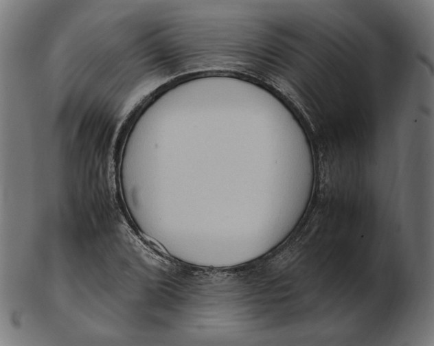 X0000103131072200809121726