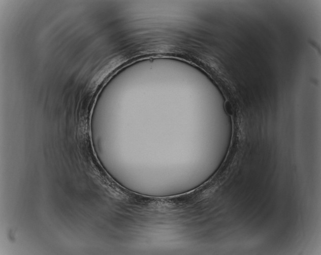 X0000103131073200809121726
