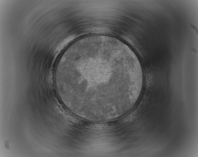 X0000103131074200809121726