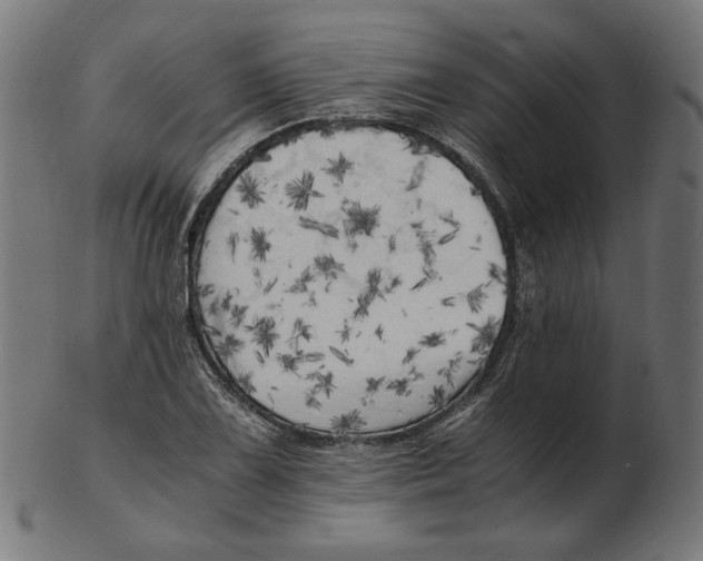 X0000103131075200809121726