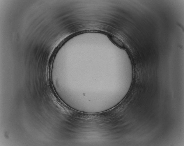 X0000103131076200809121726