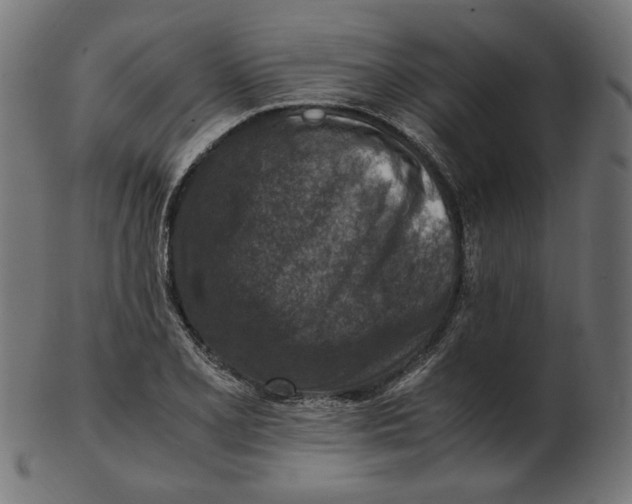 X0000103131077200809121726