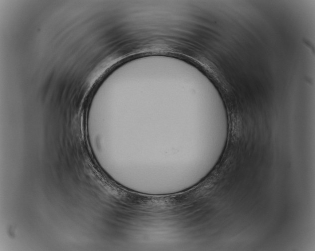 X0000103131078200809121726