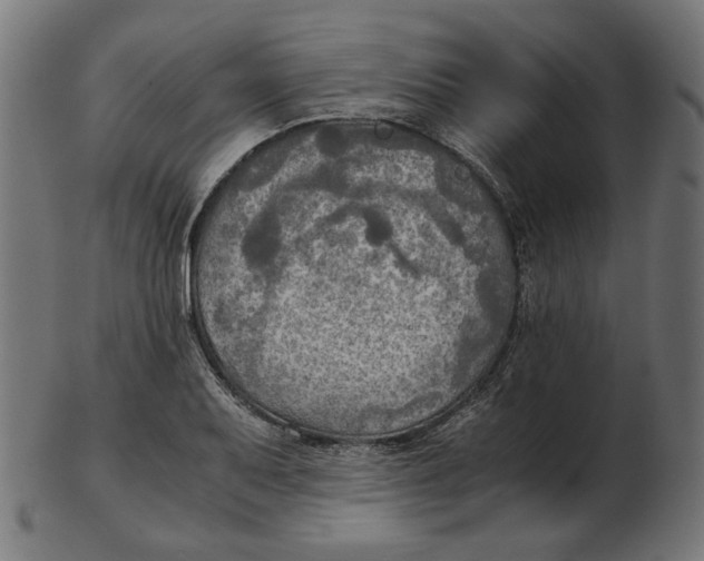 X0000103131079200809121726