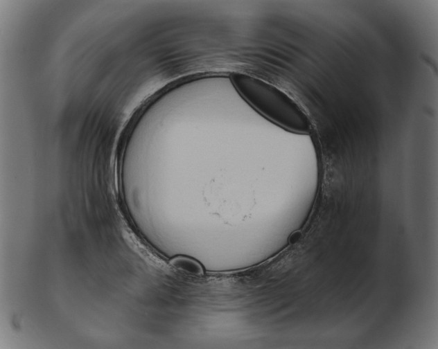 X0000103131080200809121726