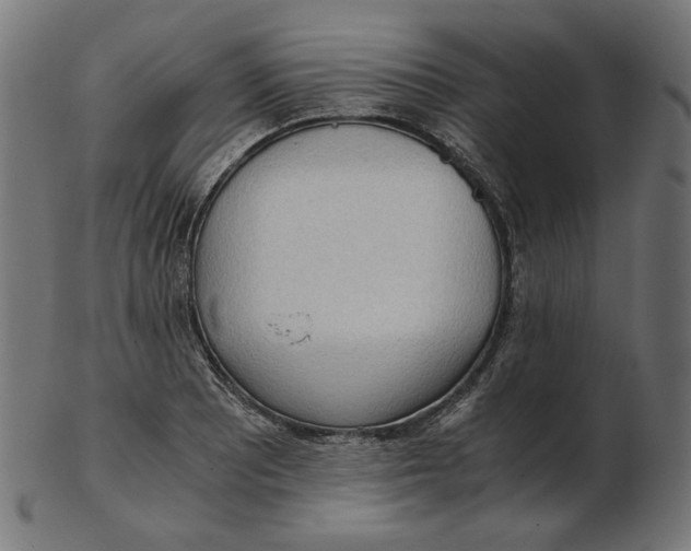 X0000103131081200809121726