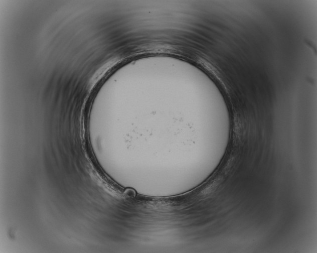 X0000103131082200809121726