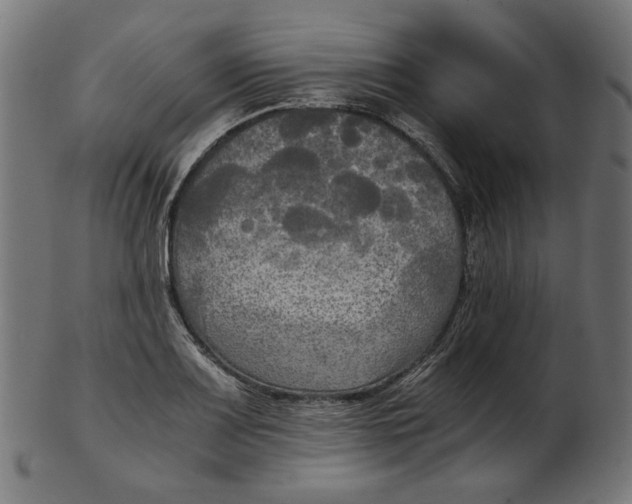 X0000103131083200809121726