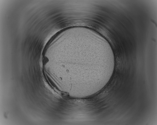 X0000103131084200809121726