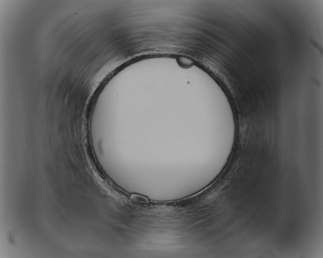 X0000103131085200809121726