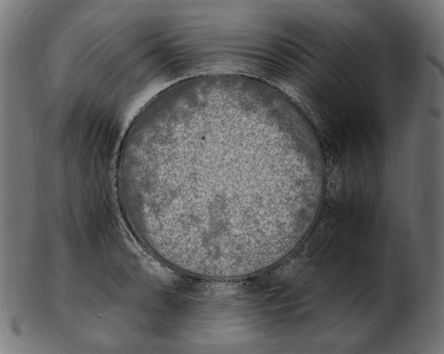 X0000103131086200809121726