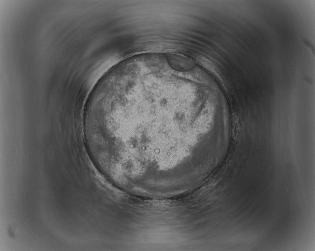 X0000103131087200809121726