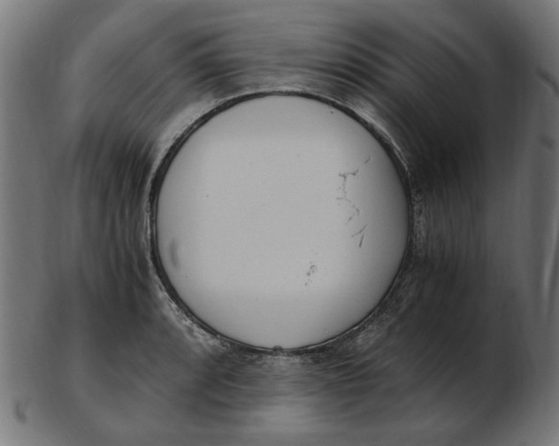 X0000103131088200809121726