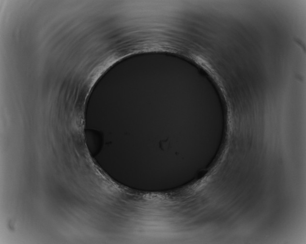X0000103131089200809121726