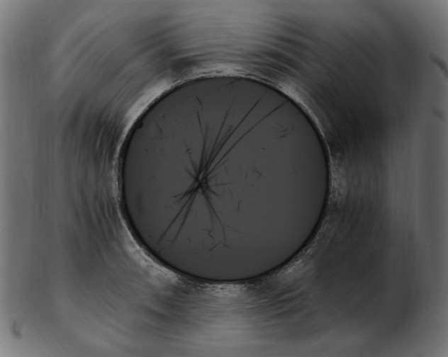 X0000103131090200809121726