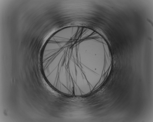 X0000103131091200809121726